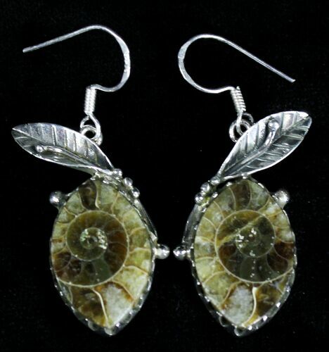 Fossil Ammonite Earrings - Sterling Silver #21066